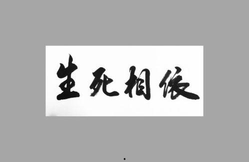 生死相依图片,永恒的纽带与守护